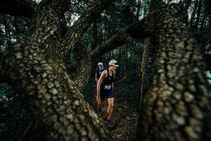 BIB: 
                            <button type="button" onclick="openModal(25687016)" class="btn btn-primary btn-sm float-right btn-popup" data-toggle="modal" data-target=".modal-high-quality">
                        <i class="fas fa-shopping-cart"></i> Add to Cart
                    </button>
                                            <button type="button" onclick="isThisMe(25687016, true)" class="btn btn-success btn-sm float-right btn-popup btn-isme hidden" data-toggle="tooltip" data-placement="bottom" title="นี่คือรูปของคุณใช่ไหม คลิกที่นี่เพื่อเอาเข้าอัลบั้ม">
                        <i class="fas fa-plus"></i> Add to album
                    </button>
                    <button type="button" onclick="isThisMe(25687016, false)" class="btn btn-warning btn-sm float-right btn-popup btn-isnotme hidden">
                        <i class="fas fa-ban"></i> Remove from album
                    </button>